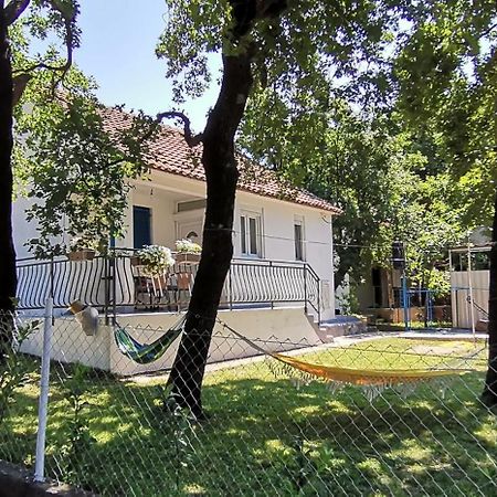 Forest House Sutomore Luaran gambar